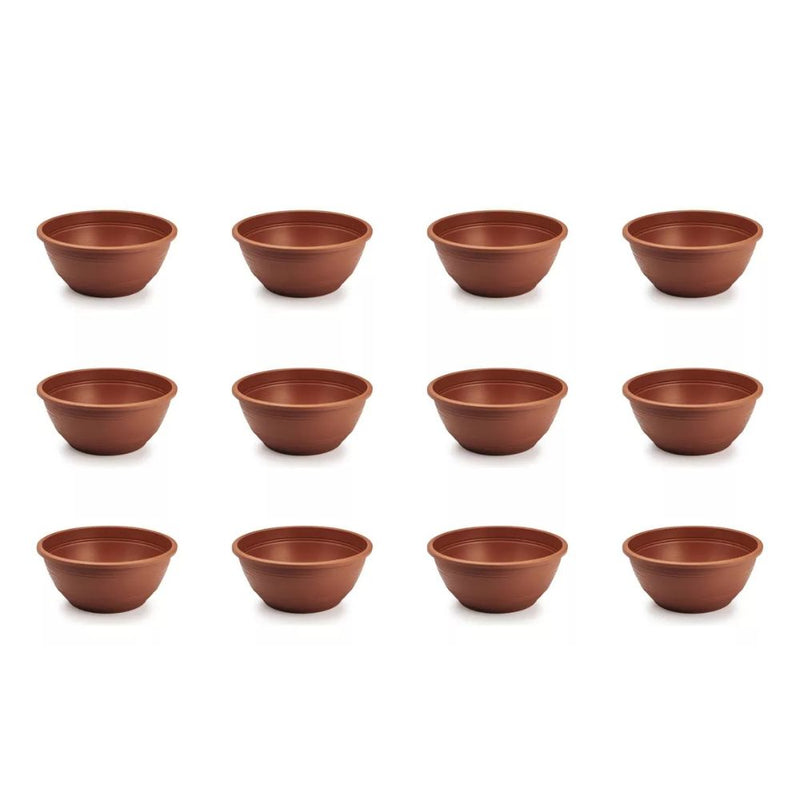 Kit com 15 Vaso Cuia para Rosa do Deserto - 6,6 Litros